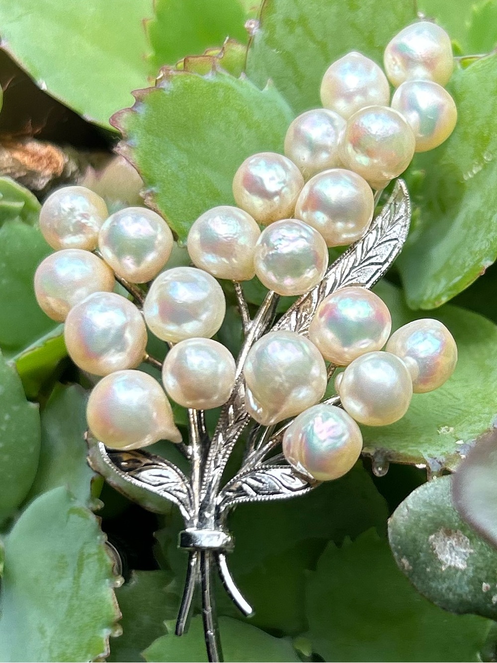 Vintage sterling silver Japan Mikimoto style 21 akoya Cultured Pearls Brooch pin